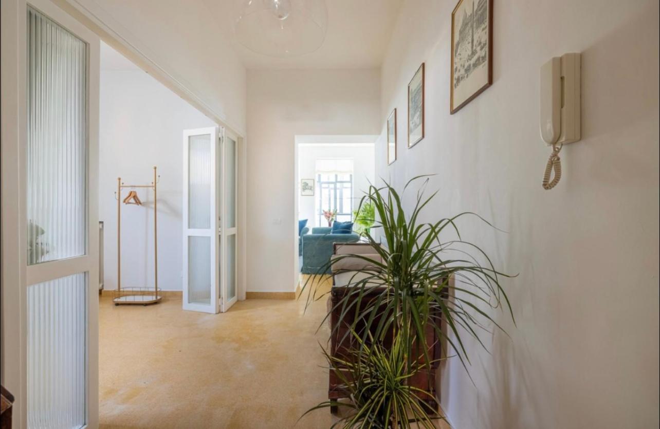 Domus Amalthea Rom